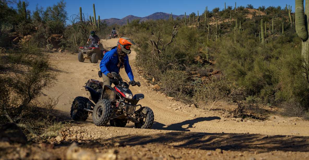 Sonoran Desert: Beginner ATV Training & Desert Tour Combo - Highlights of the Tour