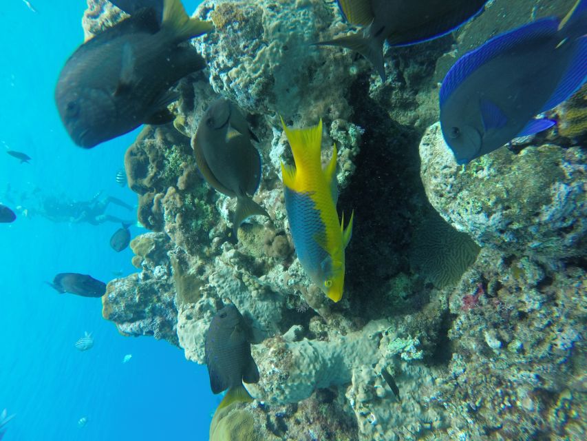 Sosua Catamaran Excursion - Sailing Along the Coastline