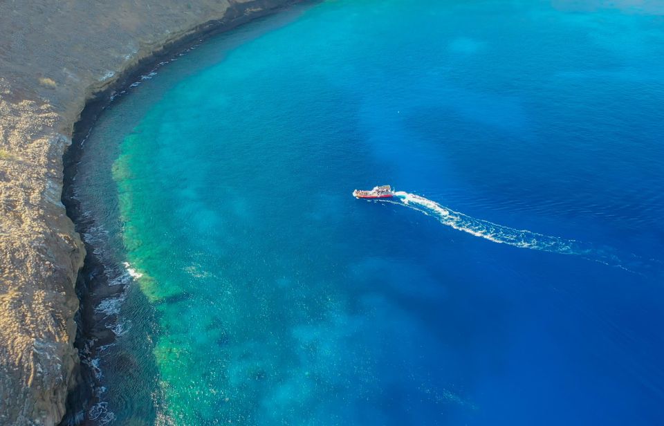 South Maui: Molokini Crater and Turtle Town Snorkeling Trip - Highlights and Experiences