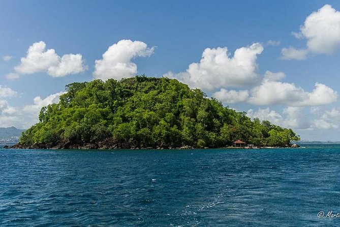 Southern Caribbean Tour: Swimming With Turtles, Bats, Diamond (Weather Permitting). - Traveler Experiences