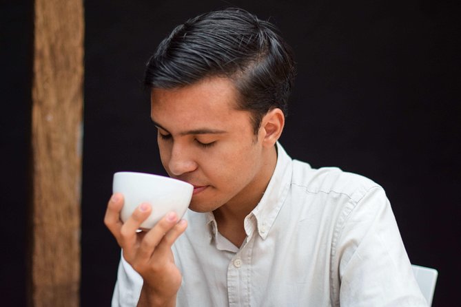 Specialty Coffee Workshops in Bogota - Expert Guides and Their Role