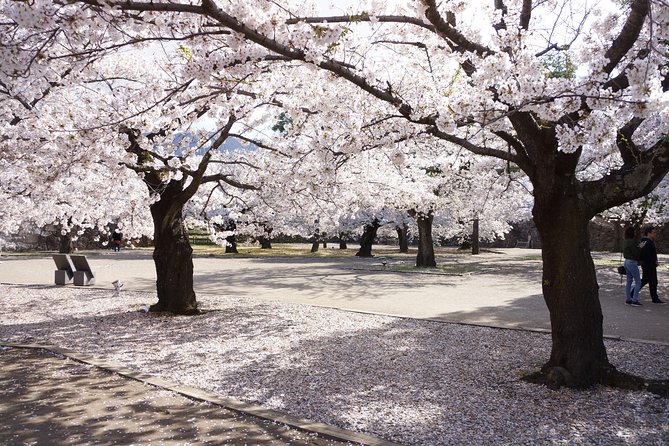 (Spring Only) 1-Day Snow Monkeys & Cherry Blossoms in Nagano Tour - Inclusions and Exclusions