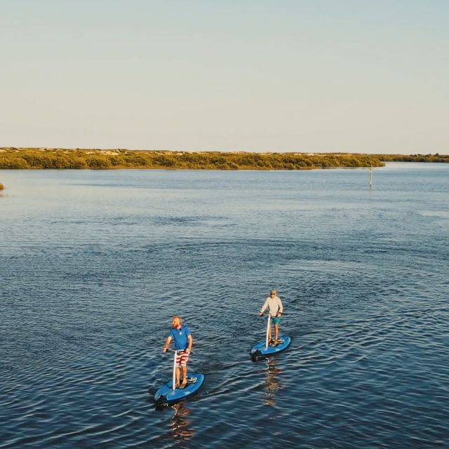 St. Augustine: Standup Pedal-boarding Dolphin Tour - Guided Tour Highlights