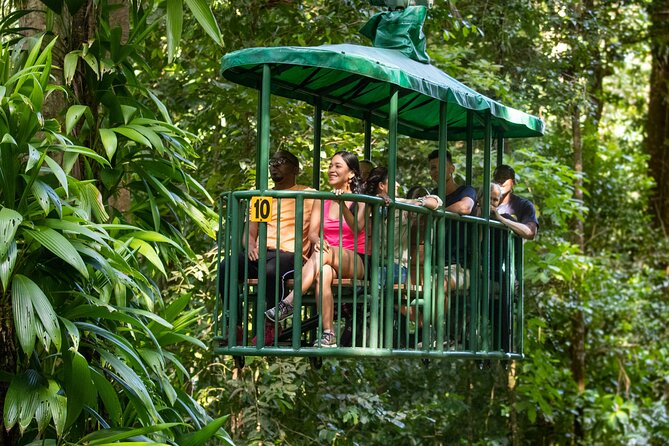 St. Lucia Aerial Tram Tour at Rainforest Adventures - Guest Experiences and Reviews