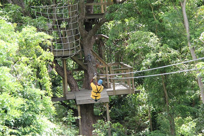 St. Lucia Morne Coubaril Estate Zipline Experience - Reviews and Customer Feedback