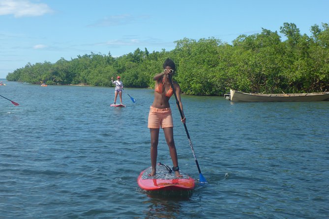 Stand up Paddle in Paradise - Memorable Moments