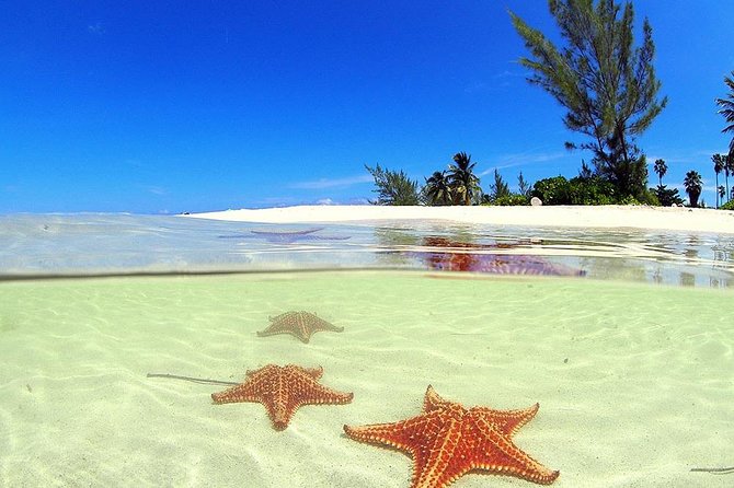 Starfish and Stingray City Fun Tour With Reef Snorkeling- 3 Stops - Beverage Offerings