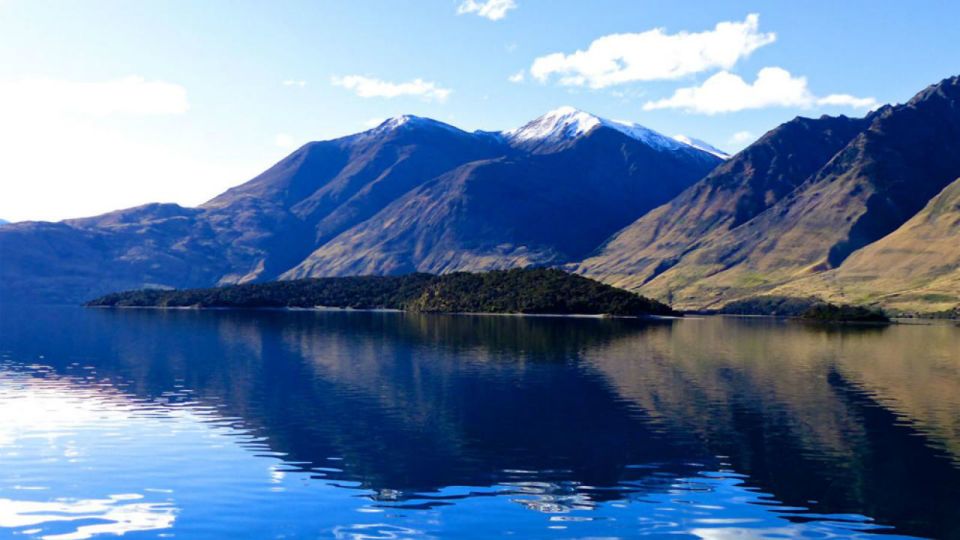 Stevensons Island 2-Hour Cruise and Nature Walk - Language and Accessibility