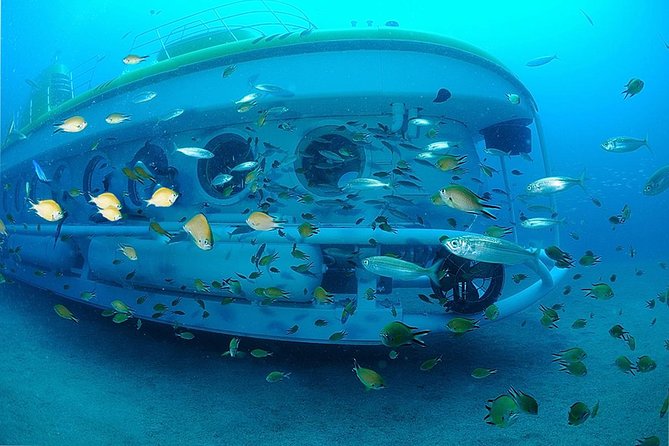 Submarine Safaris Lanzarote - Accessibility and Suitability