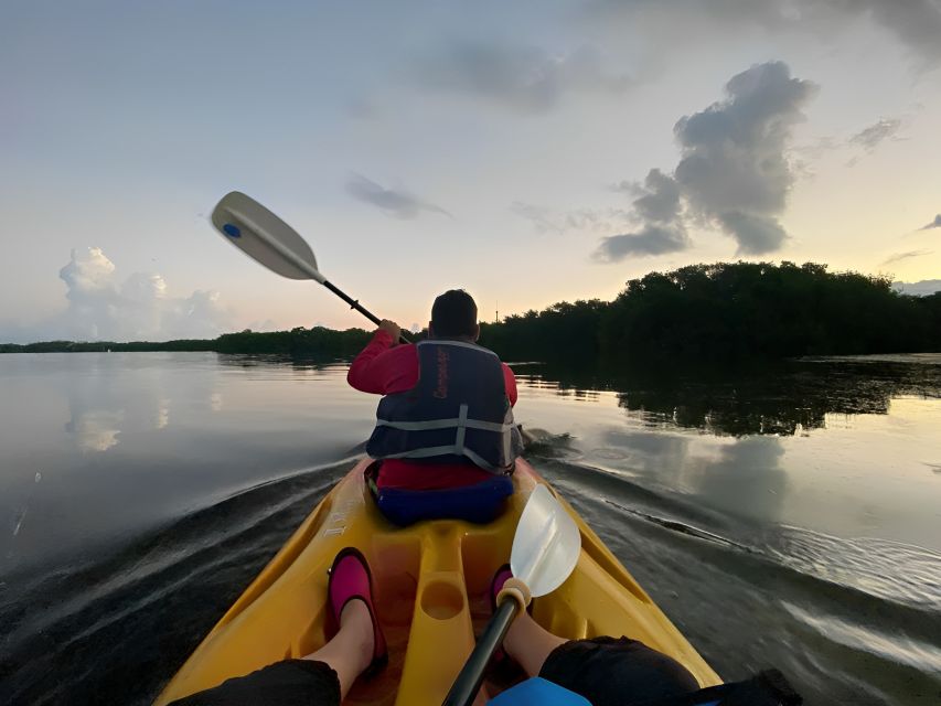 Sunrise Kayak Tour by Wayak Tour - Tour Activities