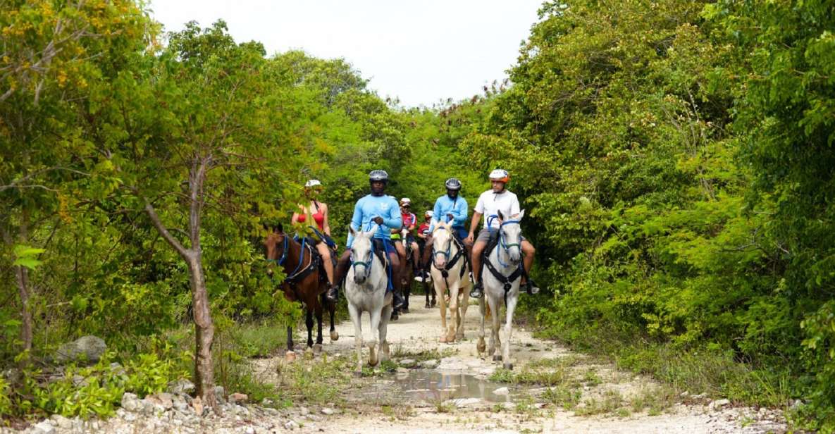 Swim Horse From Punta Cana - Exploring Tropical Forests