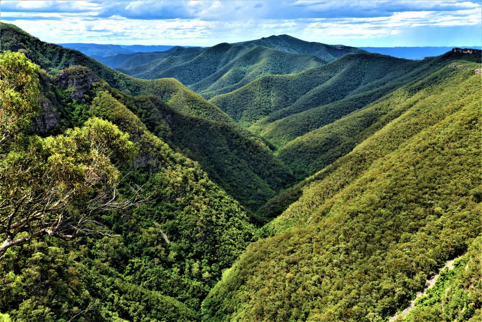 Sydney: Jenolan Caves Blue Mountains Day Tour & River Cruise - Itinerary