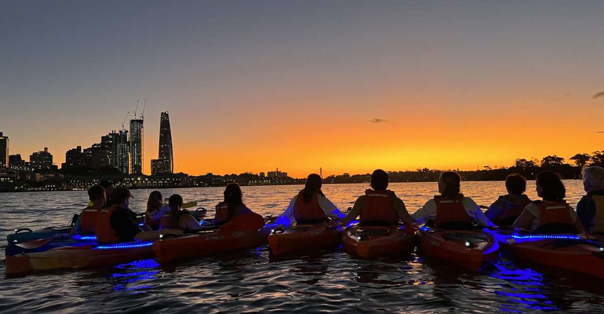 Sydney: Sunset Kayak Tour on Sydney Harbour - Experience Description