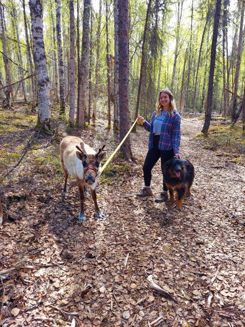 Talkeetna: A Walk in the Woods...with Reindeer! - Meet the Reindeer