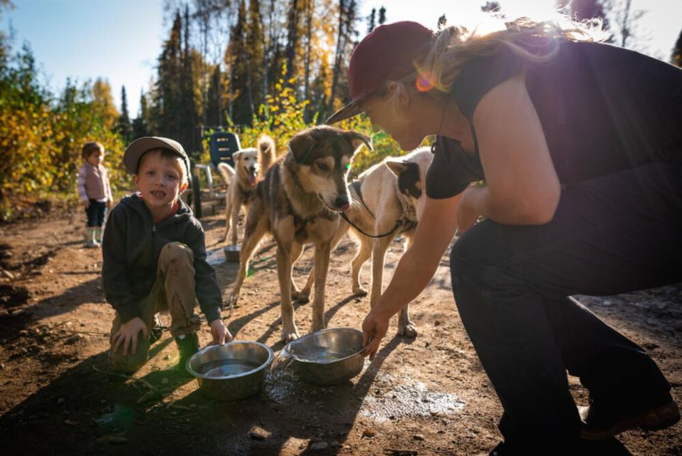 Talkeetna: Mushing Experience With Iditarod Champion Dogs - Highlights