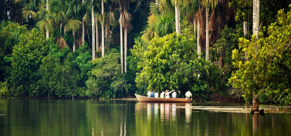 Tambopata: Cayman Safari + Macaw Clay Lick 2-Days - Trekking in Primary and Secondary Forest