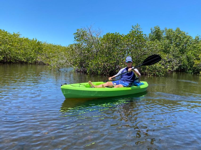 Tarpon Springs: Guided Anclote River Kayaking Tour - Tranquil Waters and Wildlife