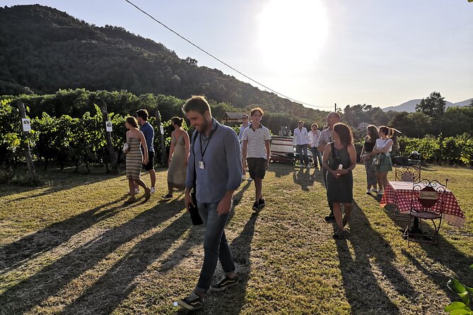 Tasting in a Tuscan Vineyard With Transfer From Lucca - Bottled Water and Snacks