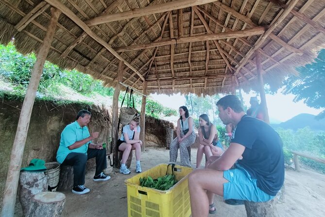 Tea Plantation Tour in Ella, Sri Lanka - Tour Schedule
