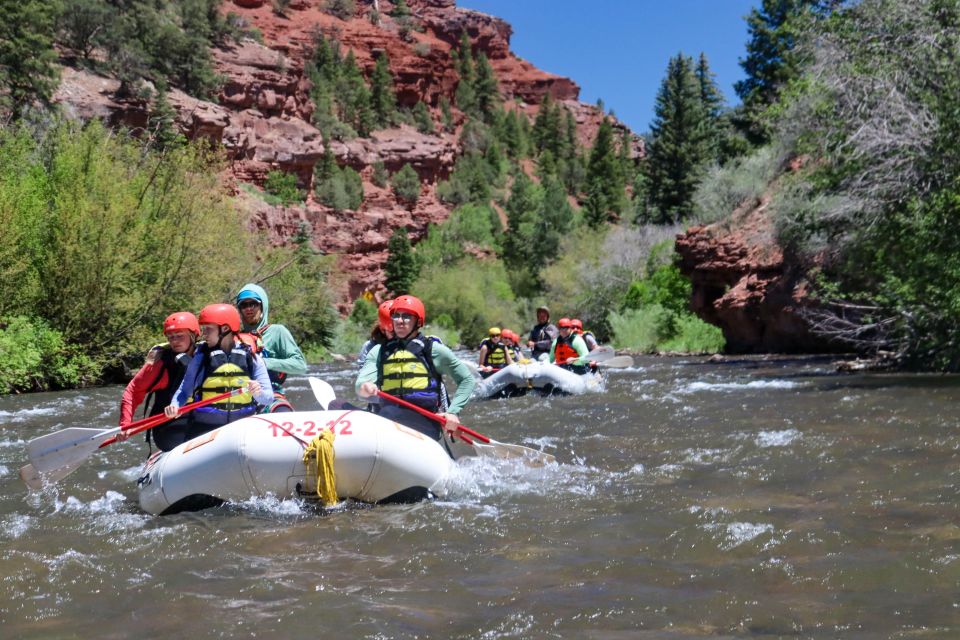 Telluride Whitewater Rafting - Full Day With Lunch - Certified Guides and Safety