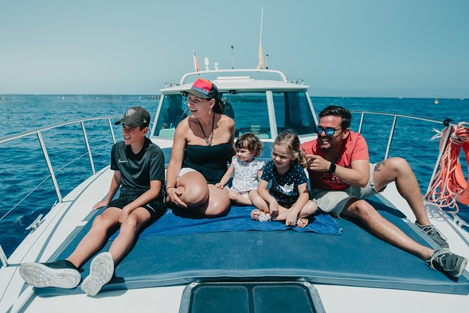 Tenerife: Whale and Dolphin Watching - Wildlife Encounters