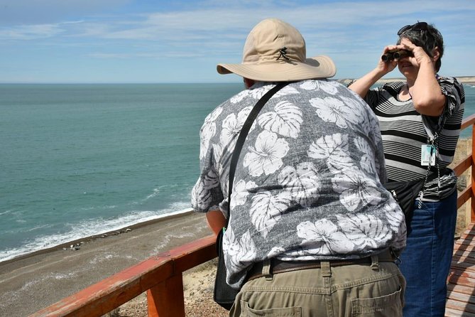 The Best of Peninsula Valdés in One Day - Wildlife Encounters