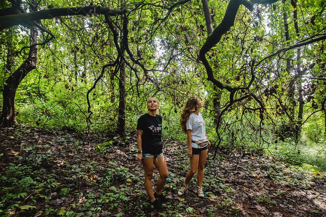 The Nature Trail at Chorao Island - Ferry Ride to the Island