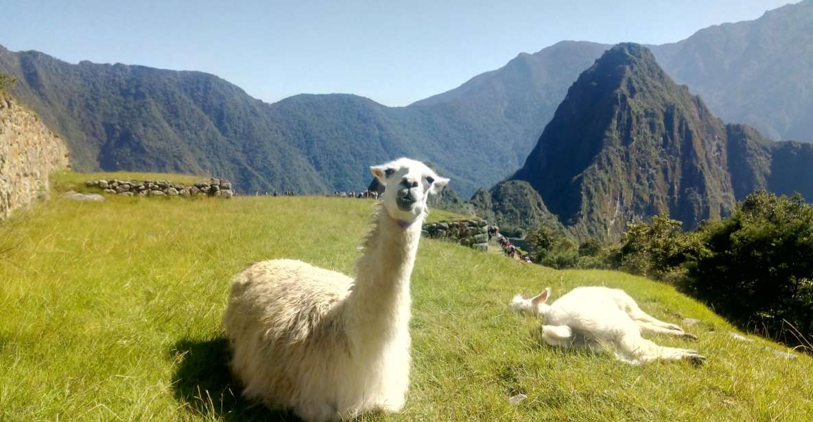 The Peru of the Andes - Marveling at Colca Valley