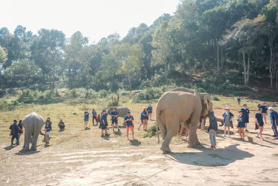 The Ultimate Elephant Experience and Coffee Workshop - Coffee Workshop