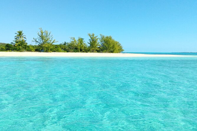 Three Island Boat Tour (incl. Rose Island): Snorkeling & Pigs - Additional Information