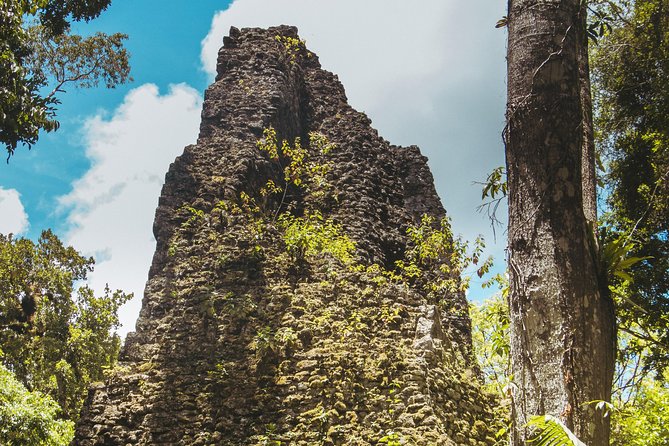 Tikal Small Group All Included From Flores - Lunch Options