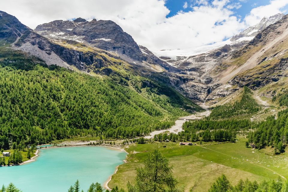 Tirano to St. Moritz: Bernina Red Train Return Day-Ticket - Meeting Point and Information