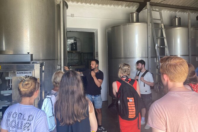 TOP WINE TOUR- Vineyard & Cellar Visit + 6 TOP Wines + Tapas - Vineyard and Cellar Visit