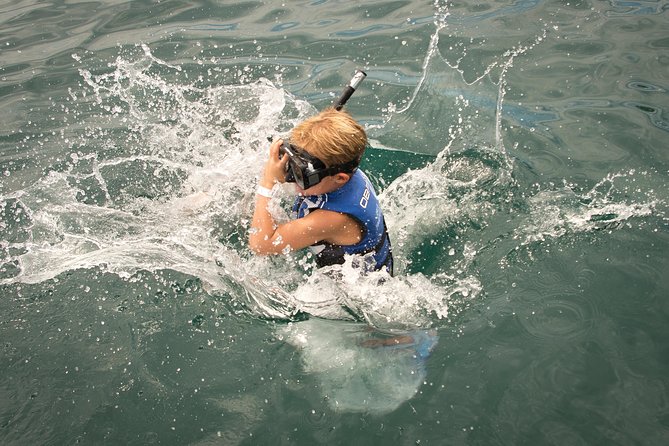 Tortuga Island Tour With Costa Cat - Transportation Details