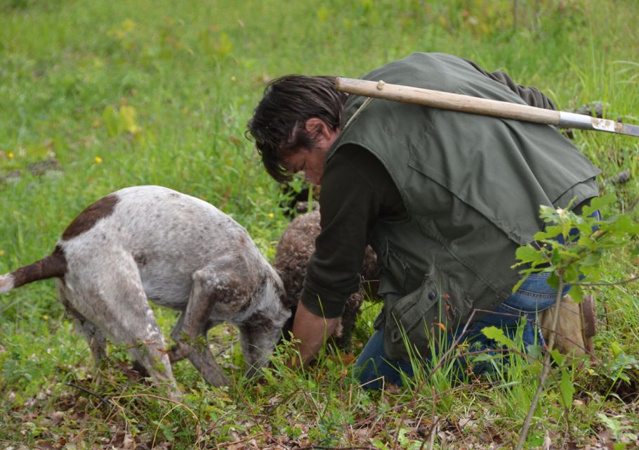 Toscana: Truffle Hunting and Tasting - Exploring the Truffle World