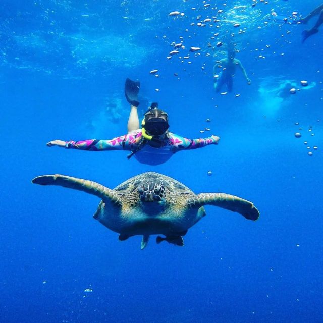 Tour Gili Islands : Private Snorkeling Trip 4 Hours - Inclusions and Equipment