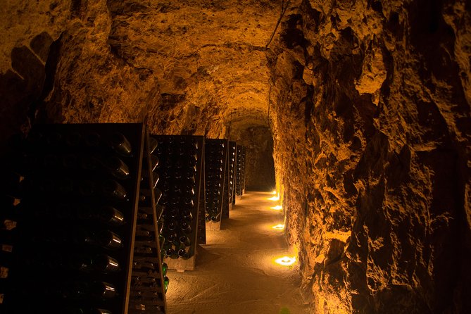 Tour of a Vineyard, Winery & Cellar With Wine Tasting in Vouvray, Loire Valley - Guided Walk Through the Vines