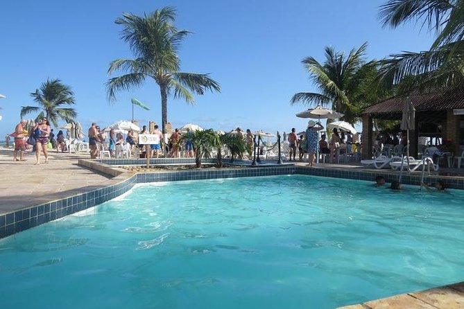 Tour to Maragogi From Maceió, Including Natural Pools by Edvantur - Itinerary and Schedule