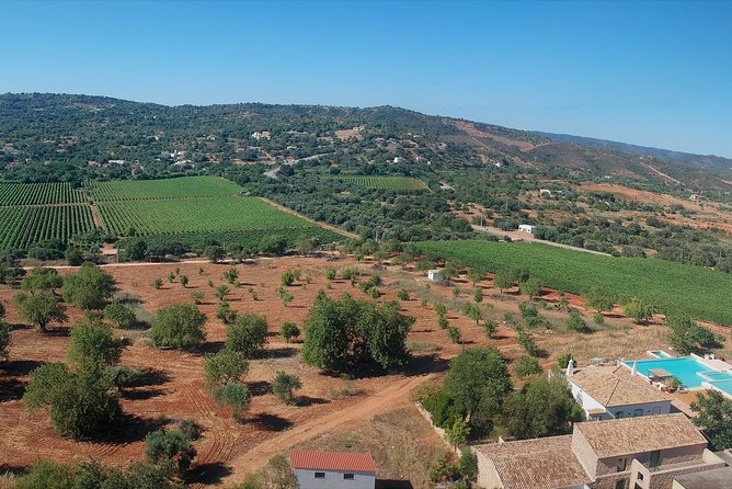 Tour & Wine Tasting - Authentic Algarve Flavours by Quinta Da Tôr - Cancellation Policy