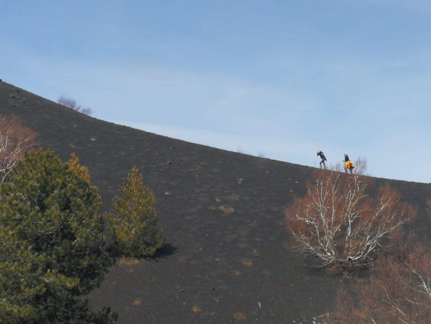 Trekking on Mount Etna and Visiting the Grotta Delle Nevi (Cave of Snow) - Explore Sartorius Craters