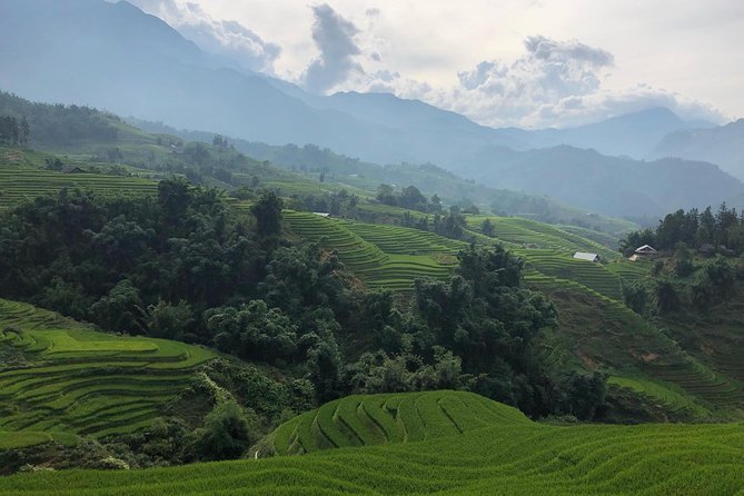 Trekking Sapa 1 Day - the Best Terraced Rice Field - Meeting and Pickup Details