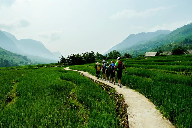 Trekking Through Rice Terraced Fields - 1Day​ - Excluded From Tour