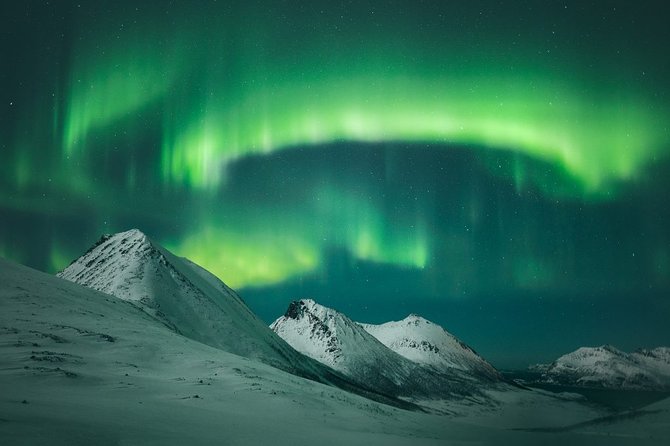 Tromsø: Small Group Northern Lights Hunt - Tour Highlights