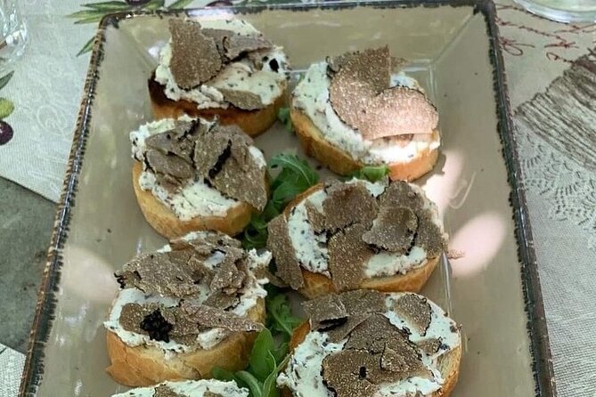 Truffle Hunting Adventure - Truffle Hunting in the Woods