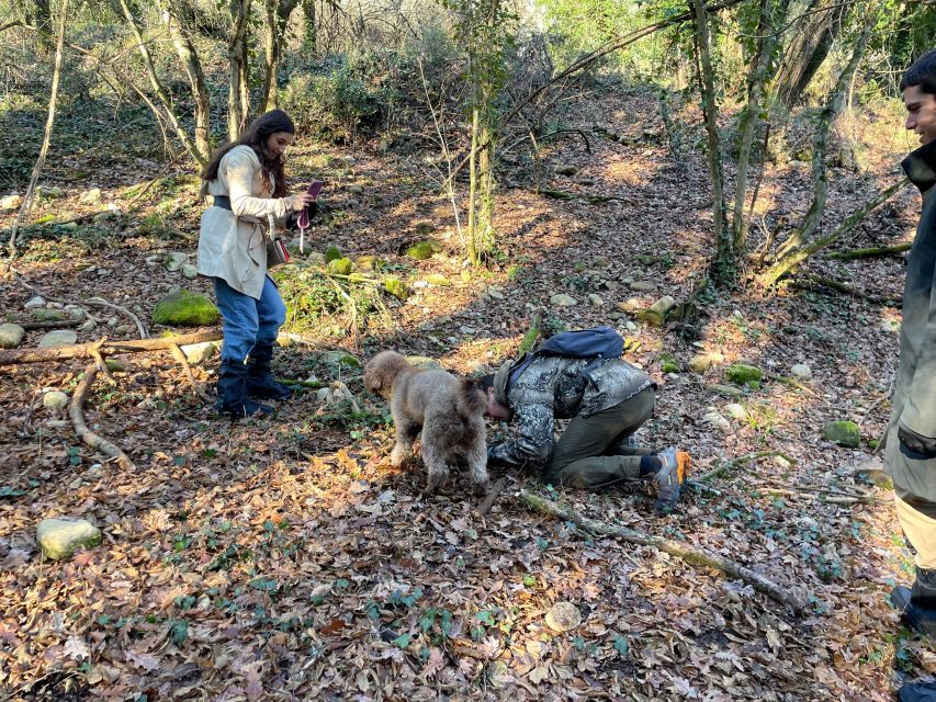 Truffle Hunting in Chianti With Pasta Cookingclass and Lunch - Customer Reviews