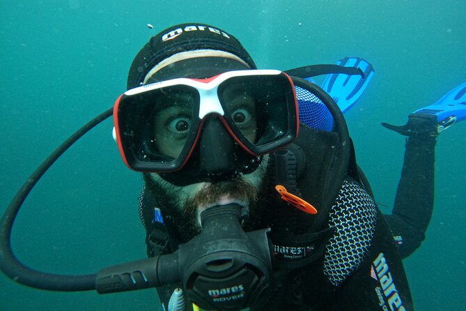 Try Scuba Diving in Arrabida Natural Park (Near Lisbon) With Pictures - Confirmation and Accessibility