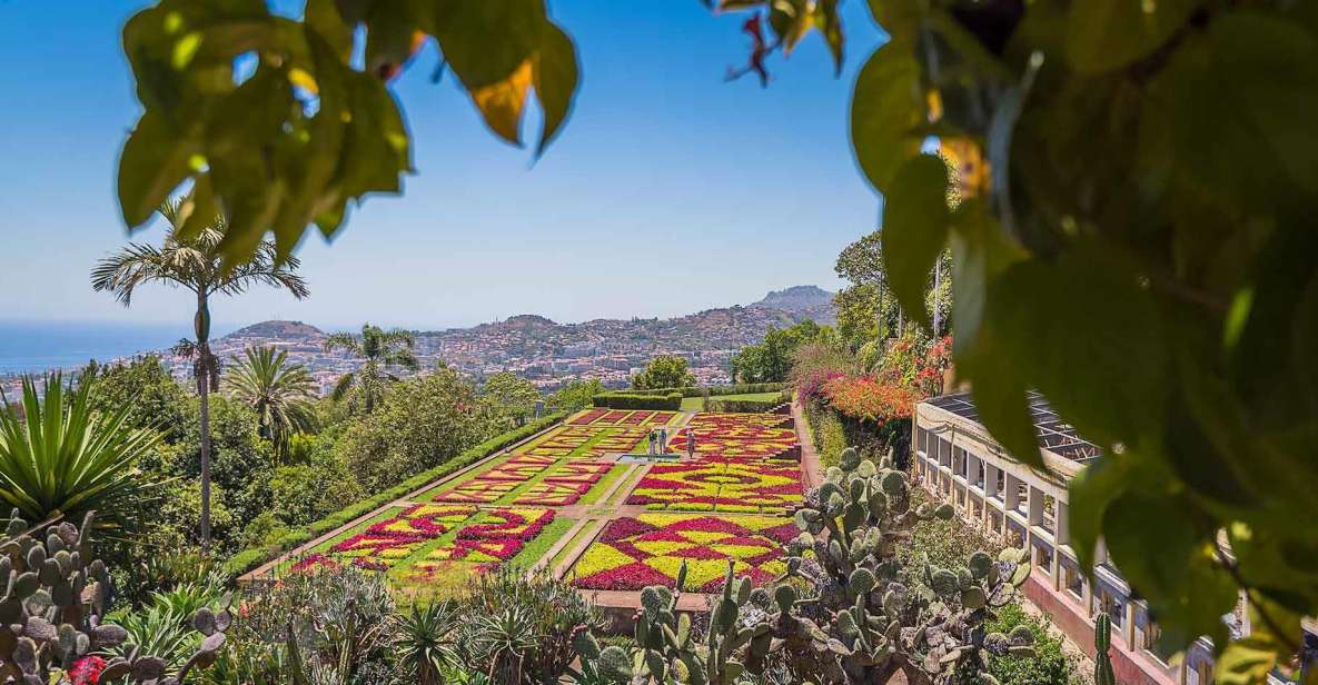 Tuk Tuk Botanical Garden - Madeira Island - Botanical Garden Highlights