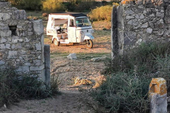 Tuk Tuk Tour Tavira Total - 2h00 - Includes Tuna Museum and Fishing Village - Exploring Taviras Landmarks