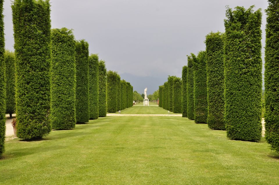 Turin: Palace of Venaria Guided Tour - Tour Duration and Inclusions