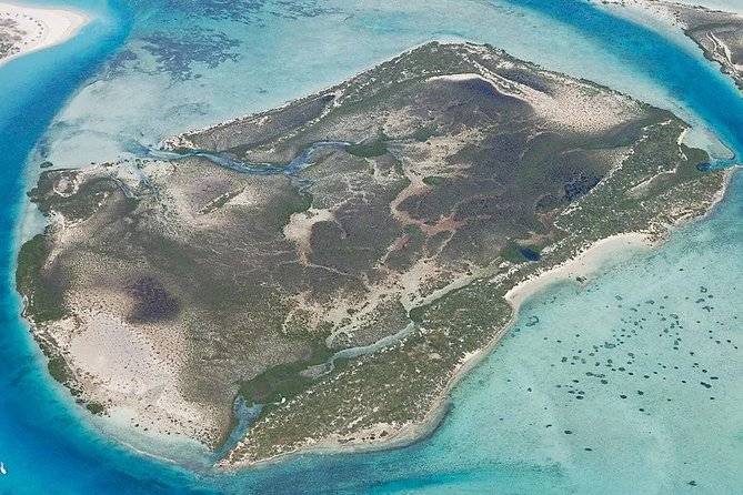 Turtle Eco Tour on Stand-Up Paddleboards or Kayaks Into the National Marine Park - Meeting Point and Logistics